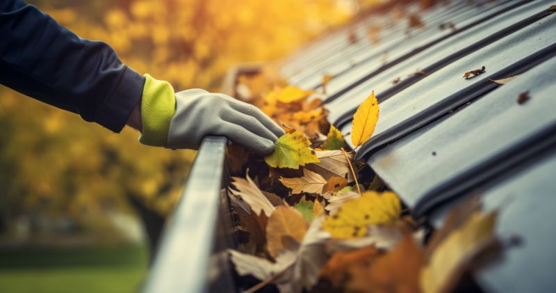 Holiday Gutter Maintenance Offers