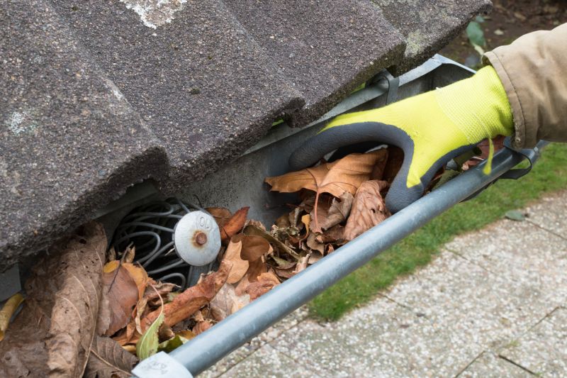 Clogged Gutter Removal